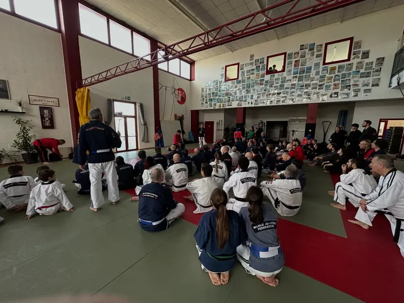 Stage: gli allievi seduti sul tatami ascoltano un maestro
