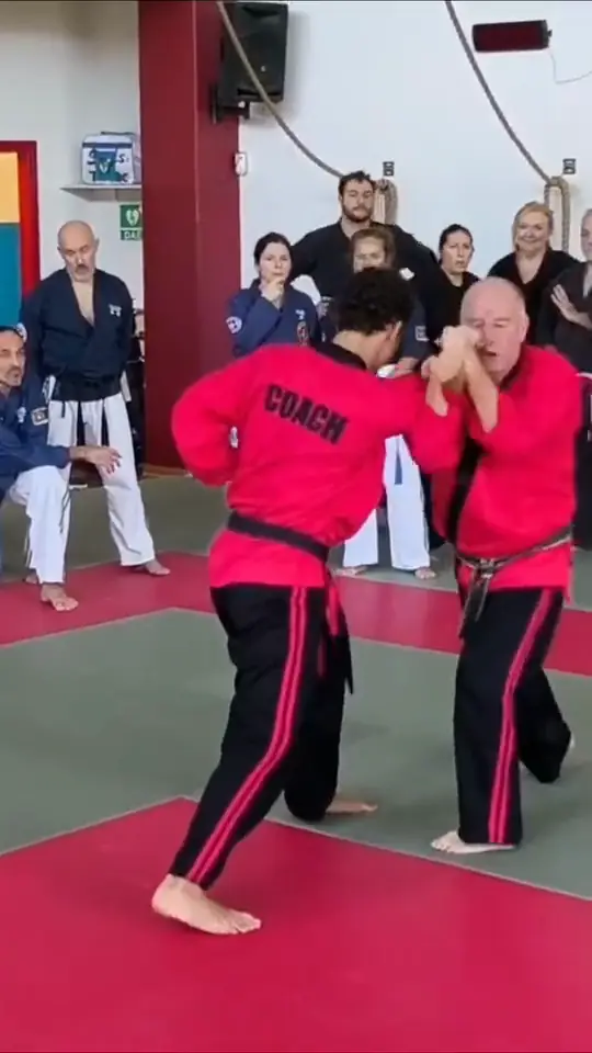 Video dello stage di Parma: maestri in giacca rossa mostrano le tecniche in coppia davanti agli allievi schierati