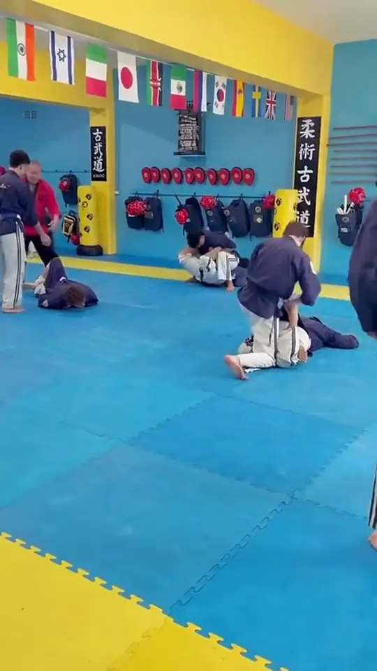 Video di un seminario a West Ryde, in Australia: allievi in divisa blu si allenano in coppia in una grande palestra