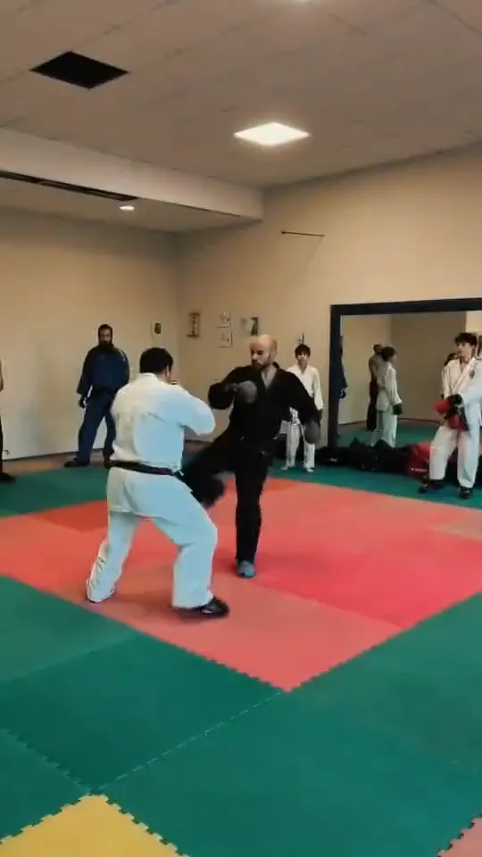 Video di un allenamento: tecniche in coppia, prese e lotta a terra sul tatami